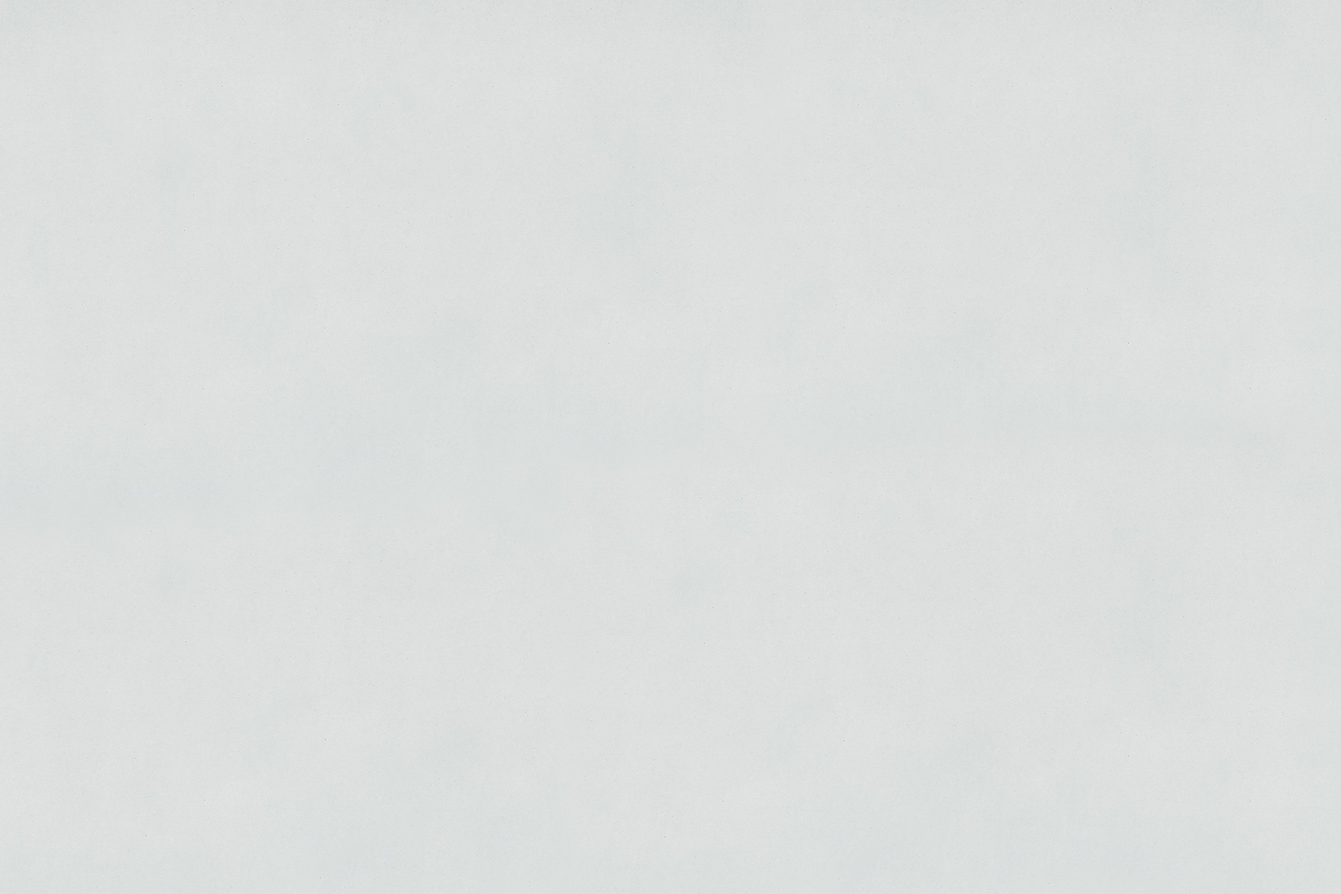 Entrevista a Marcia Ledesma, Asociación para la Conservación del Parque Miguel Lillo, Necochea