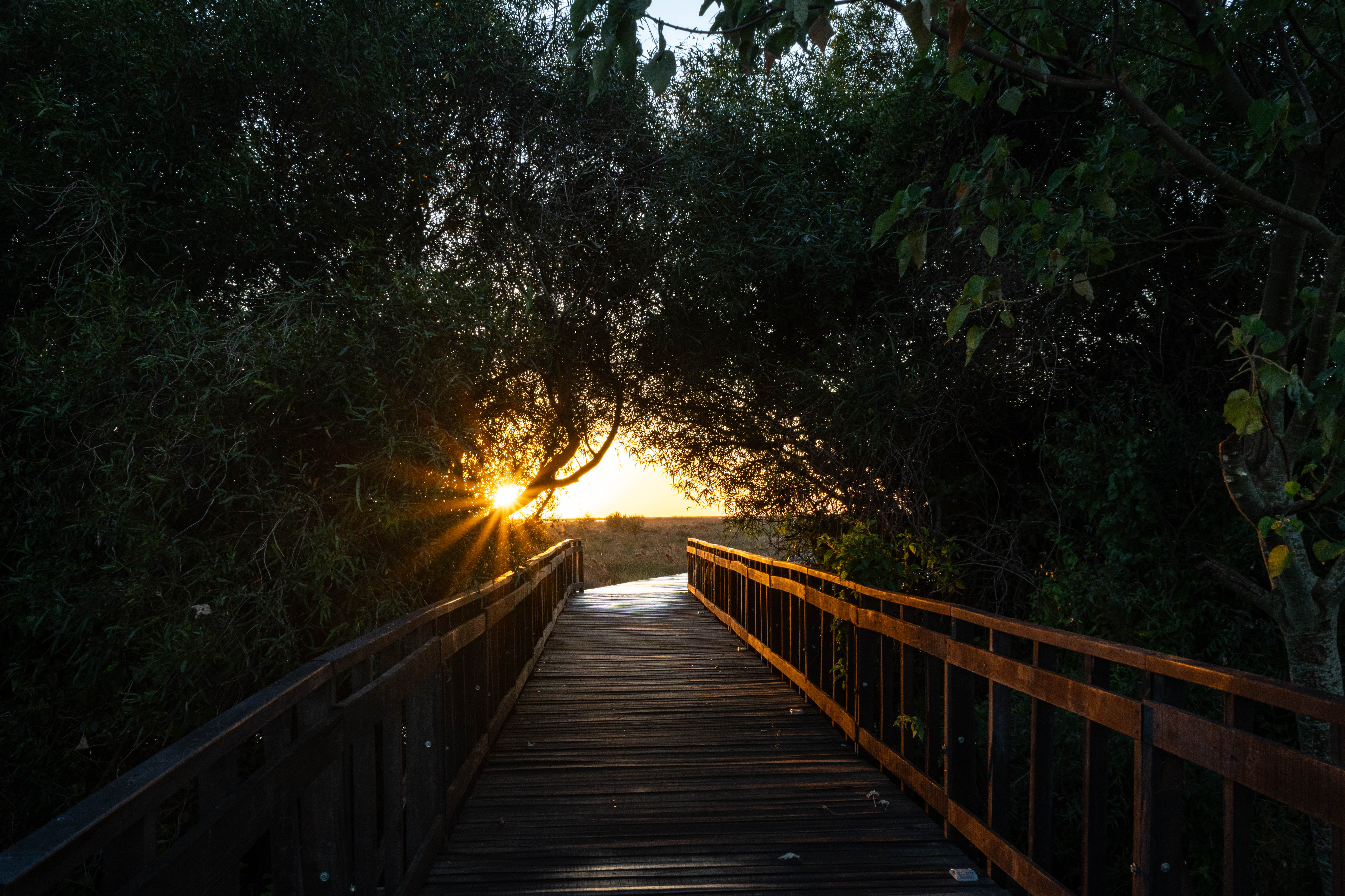 La Alondra Casa de Huéspedes fue reconocida por la Guía Michelin y posiciona a Corrientes en el mapa de la hotelería internacional - Imagen 6
